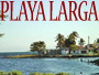 Playa Larga