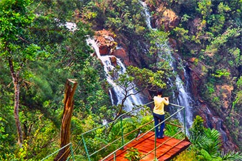 Les plus hautes chutes de l'île se nomment Gran Salto Guayabo