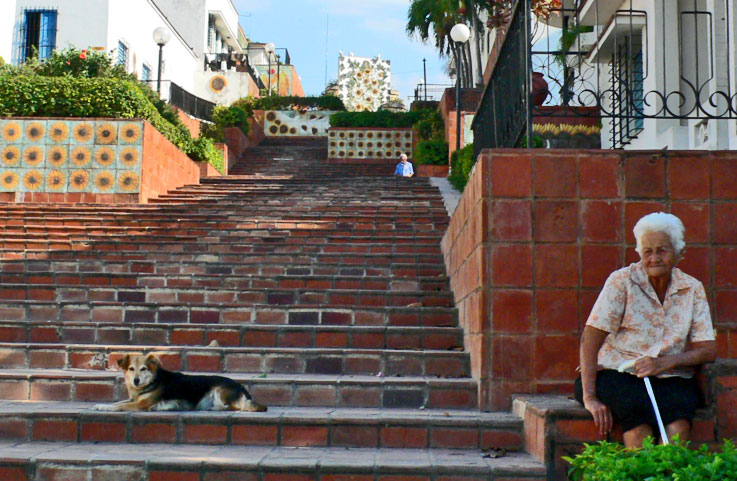 La grand-maman et son gentil chien, calle Caridad,  