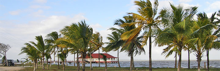 Laguna de la Leche © Wampy60 panoramio.com •]• El gallo ... © Elieser, panoramio