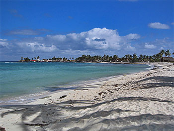 Playa Los Cocos - ranchon : snacks & bar • La Boca casas