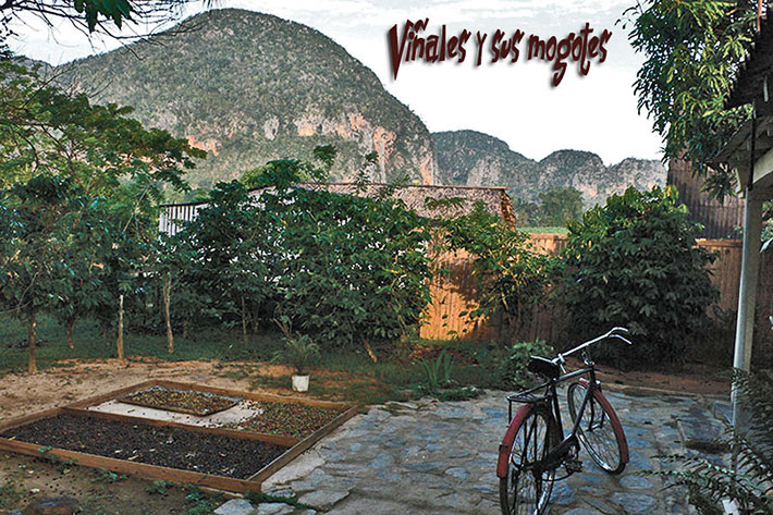 El Cafetal - Viñales © Sogestour